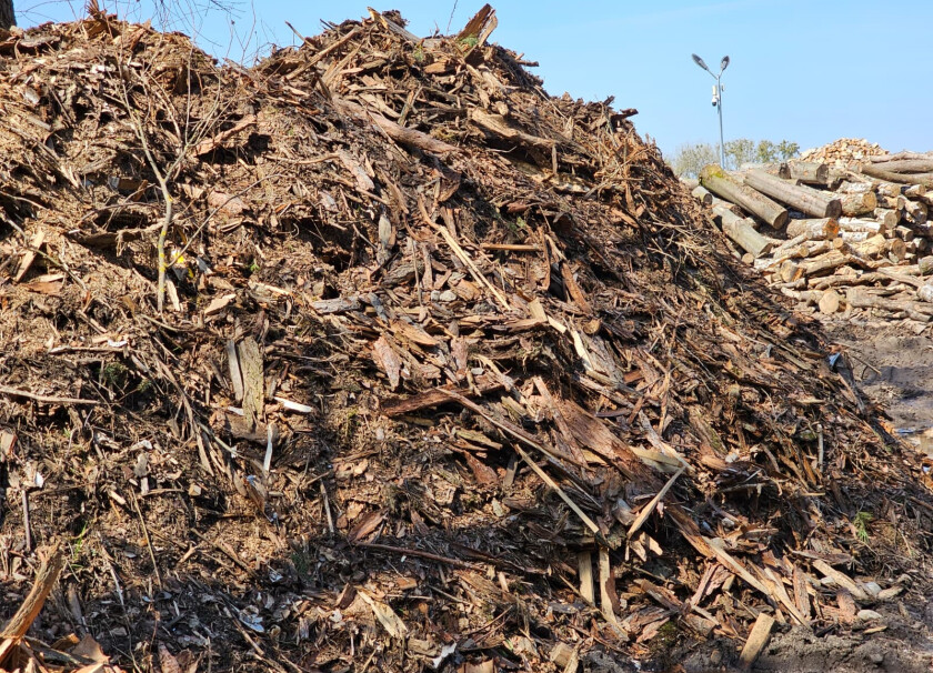 Biomasa #1