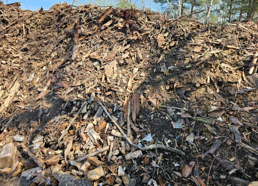 Biomasa #2