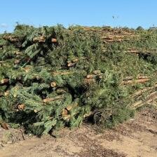 DrewKom - Kiszka faszynowa leśna fi15-20cm – 1mb