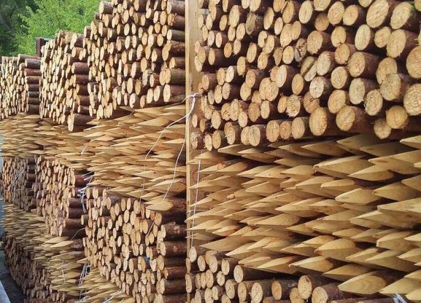 Palik sosnowy L=1,5 m, fi 6-8 cm #2