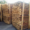 Palik sosnowy L=1,5 m, fi 6-8 cm #3
