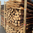 Palik sosnowy L=1,5 m, fi 6-8 cm #1