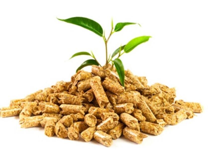 Pellet A1 Sylva – paleta #5